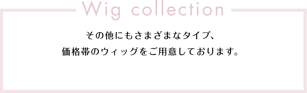 Wig collection その他にもさまざまなタイプ、価格帯のウィッグをご用意しております。